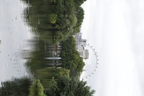 Image that was identified